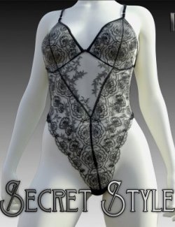 Secret Style 24