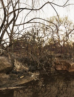 3D Scenery: Old Swamp