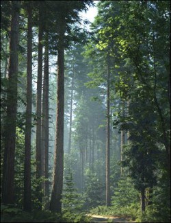 Pacific Northwest Botanica- Trees and Shrubs