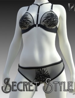Lingerie/Underwear  3d Models for Daz Studio and Poser