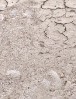 Panoramic Texture Resource: Parched Ground 2