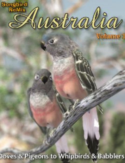 Songbird ReMix Australia Vol 1