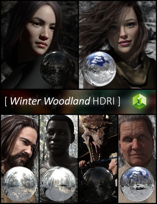 Winter Woodland HDRI