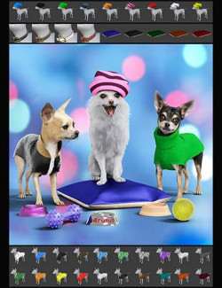 The Chihuahua Mega-Bundle for Daz Dog 8