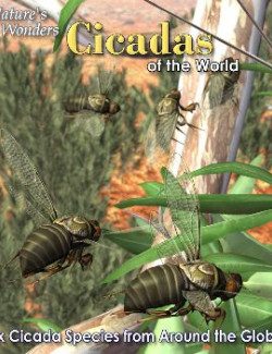 Nature's Wonders Cicadas of the World