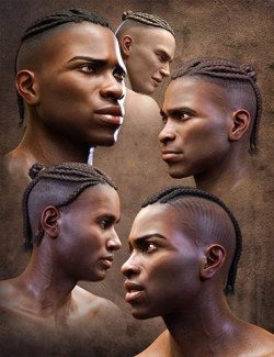 Corn Row Hair Set for Genesis 8.1 and Genesis 8 Males