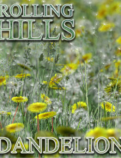 Flinks Rolling Hills - Flower 1 - Dandelion