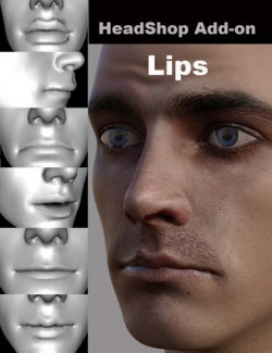 HeadShop- Lip Add-On