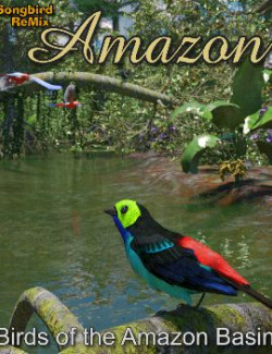 Songbird ReMix Amazon