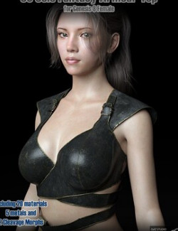 SC Solo Fantasy Armour Top 01 for Genesis 8 Female