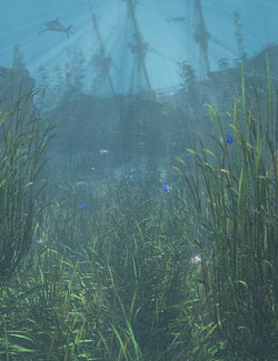 Just Beachy- Seagrass Underwater Meadows