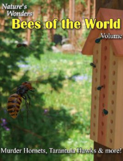 Nature's Wonders Bees of the World Vol. 2