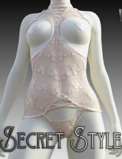 Secret Style 43