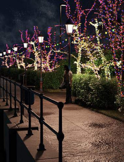 Lit Trees - Trees with Fairy Lights for Iray