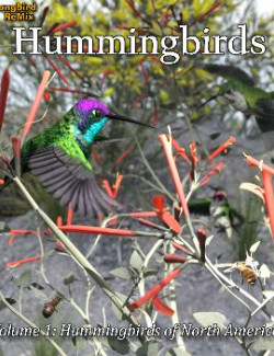 Songbird ReMix Hummingbirds of North America