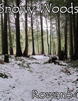 Snowy Woods Backgrounds