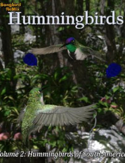 Songbird ReMix Hummingbirds of South America
