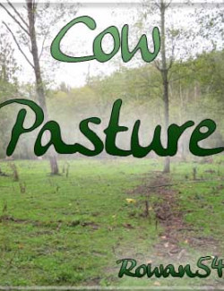 Cow Pasture Backgrounds