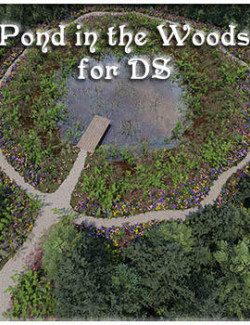 Pond in the Woods for DS