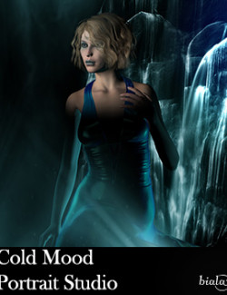 Cold Mood Portrait Studio