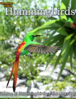 Songbird ReMix Hummingbirds v3