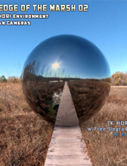 Edge Of The Marsh HDRI 02