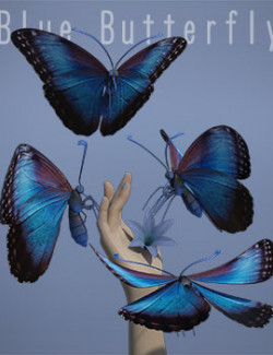 Blue Butterfly