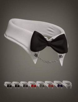 XF Bunny Lace Lingerie Collar for Genesis 8 and 8.1 Males