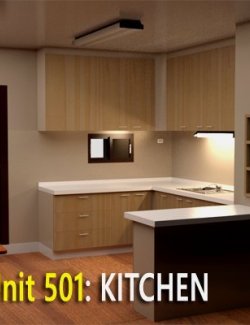 Unit 501: Kitchen