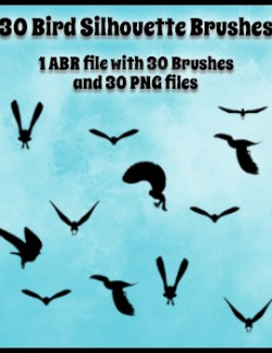 MR: 30 Bird Silhouette Brushes