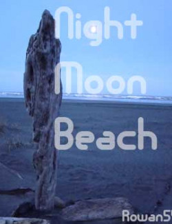 Night Moon Beach