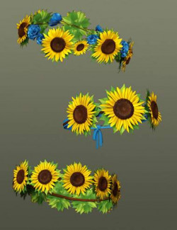 Sunflower Headbands for Genesis 8 and 8.1 Females