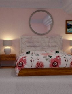 B&B Bedroom For DAZ