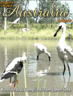 Songbird ReMix Australia Vol 3