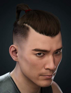 Rudolf Top Ponytail Hair for Genesis 8 and 8.1 Males