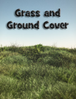 Grass and Ground Cover for Vue