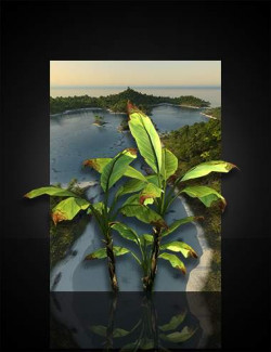 UltraSceneryXT - Low Res Tropical Plants