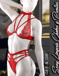 Sexy Lingerie Choker & Panties for G8.1f & G8f