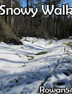 Snowy Walk