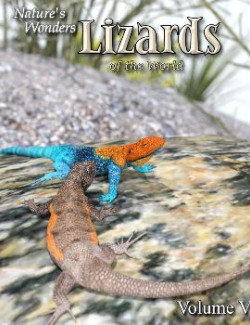 Nature's Wonders Lizards of the World Vol. 5