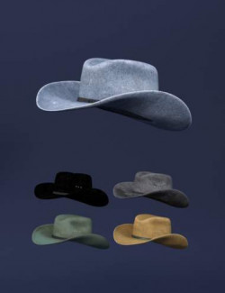 Modern Cowboy Hat for Genesis 8 and 8.1 Males