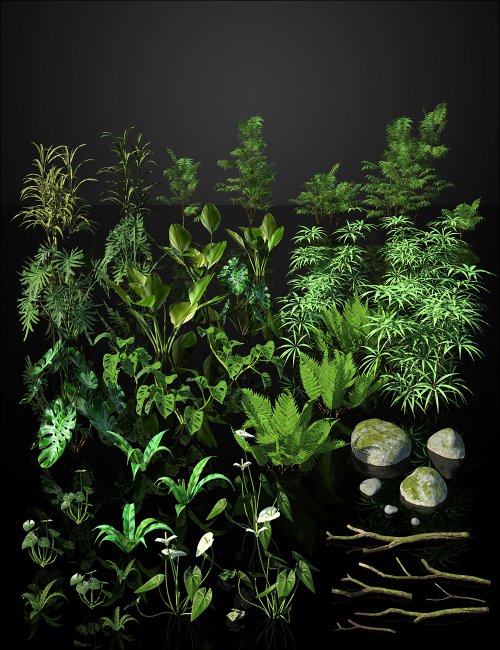 Tropical Botanica - Understorey | 3d Models for Daz Studio and Poser