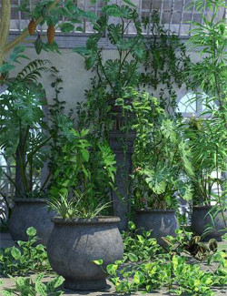 Build Your Own Tropical Climbing Plant Bundle