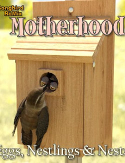 Songbird ReMix Motherhood