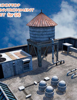 Rooftop environment set for DS