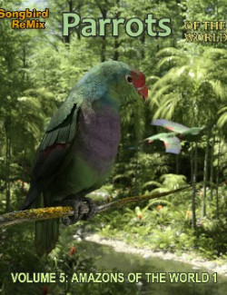 Songbird ReMix Parrots Vol 5- Amazons of the World 1