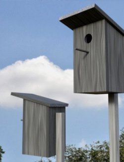 Starling Nest Box