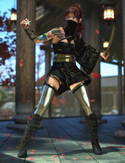 Ninja Combat Poses for G8F  3d Models for Daz Studio and Poser