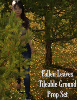 Fallen Leaves Tileable Ground Prop Set For Daz Studio With Iray