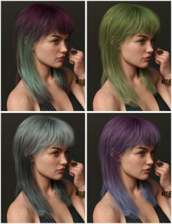 Long Mullet Style Hair Color Expansion